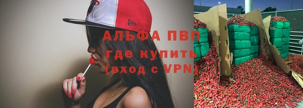 ГАЛЛЮЦИНОГЕННЫЕ ГРИБЫ Козельск