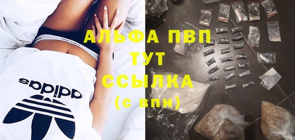 ГАЛЛЮЦИНОГЕННЫЕ ГРИБЫ Козельск